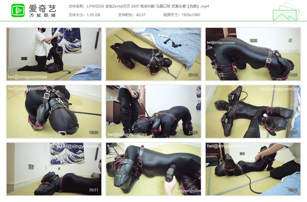 【鹿角与猫爪】 全包Zentai伪娘爪爪 k9犬电击 马具口球皮革头套_HD绳艺资源网