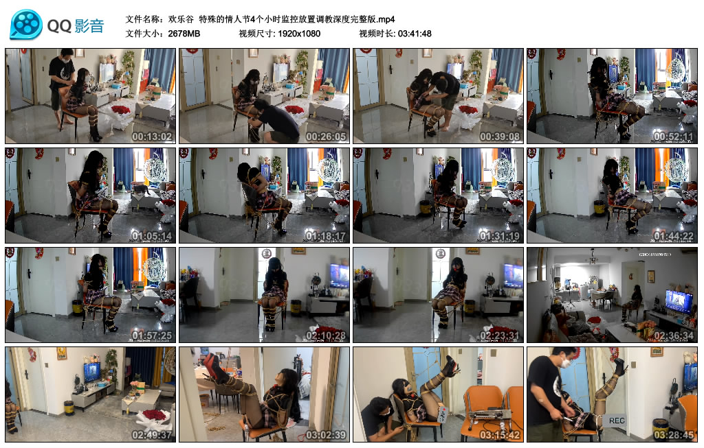 【欢乐谷】 特殊的情人节4个小时监控放置调教深度完整版_HD绳艺资源网