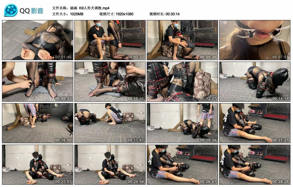 【涵涵】K9人形犬_HD绳艺资源网